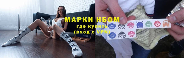 индика Алзамай