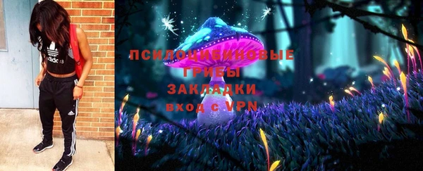 индика Алзамай
