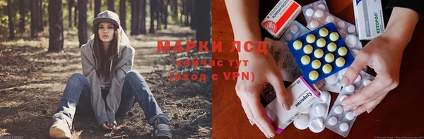 индика Алзамай