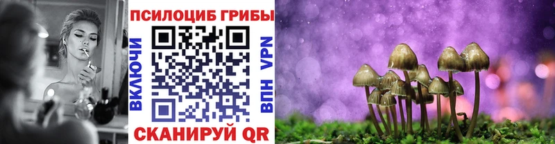 Псилоцибиновые грибы прущие грибы  Кострома 